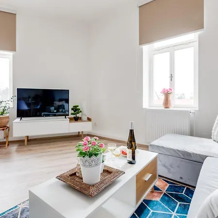 Modern, Bright And Spacious Apartment