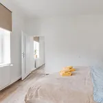 Modern, Bright And Spacious * Prague